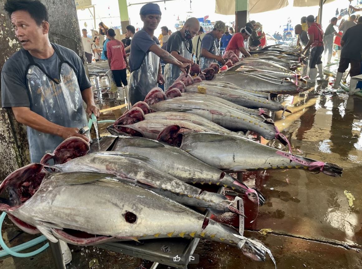 Fishy Proceedings in General Santos