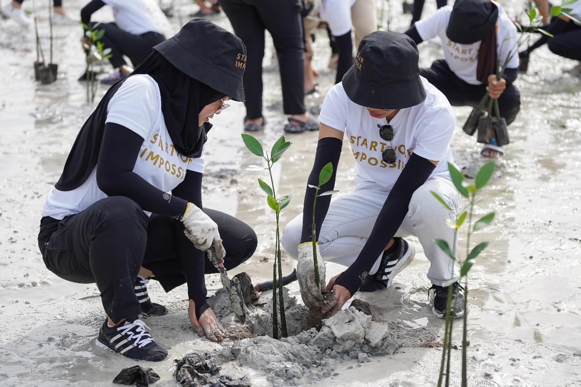 Women planting a tree in the sand

Description automatically generated